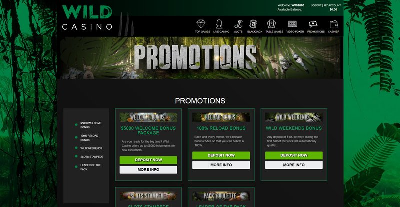 Overview of wildzy casino bonus